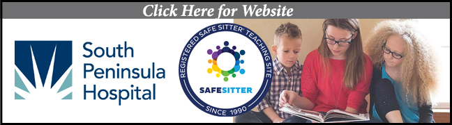 Safe Sitter - Homer